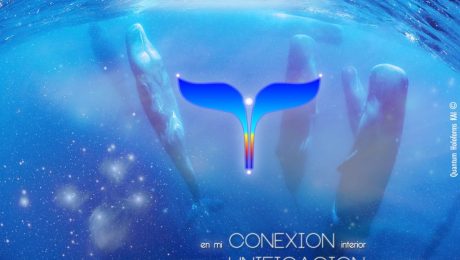 Conexion Unificacion