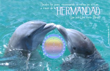 Hermandad Codigo Semanal