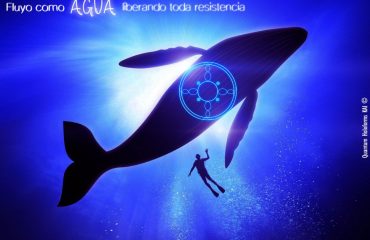 Portal Agua